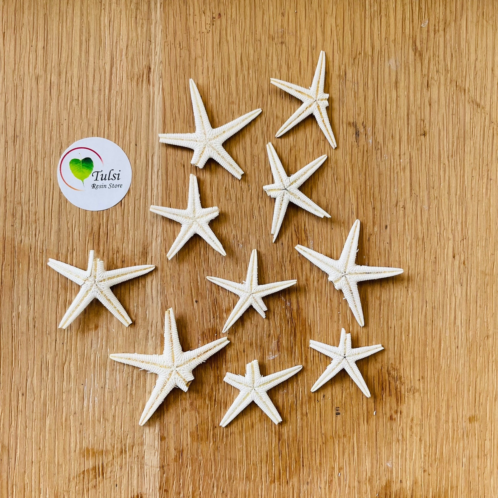 Small Star Fish (5) | Tulsi Resin